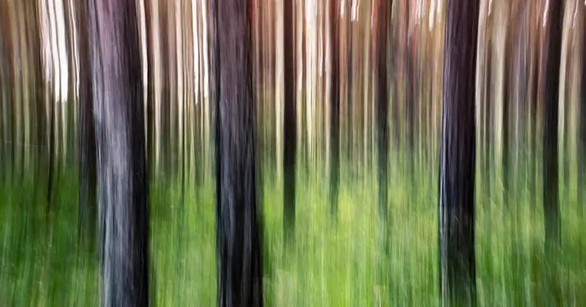 Kısa Saç Modelleri: Güncel Trendler ve Bakım İpuçlarıyla Şık ve Pratik Seçenekler