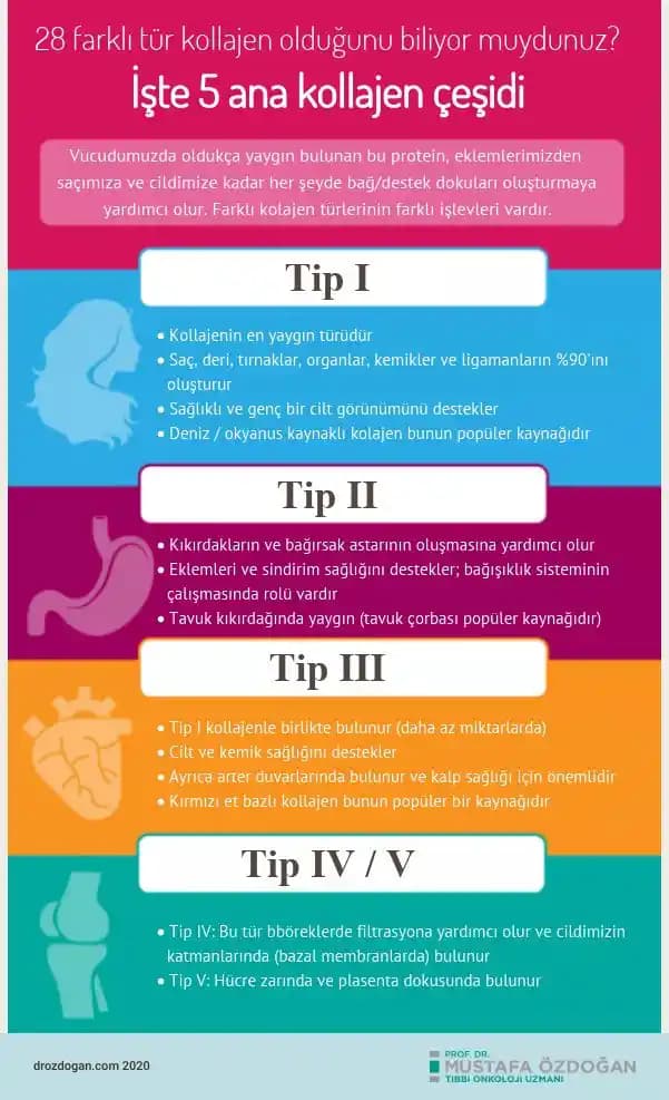 Kolojen Tipleri ve Cilt Sağlığına Etkileri Doğru Seçim İçin Bilmeniz Gerekenler