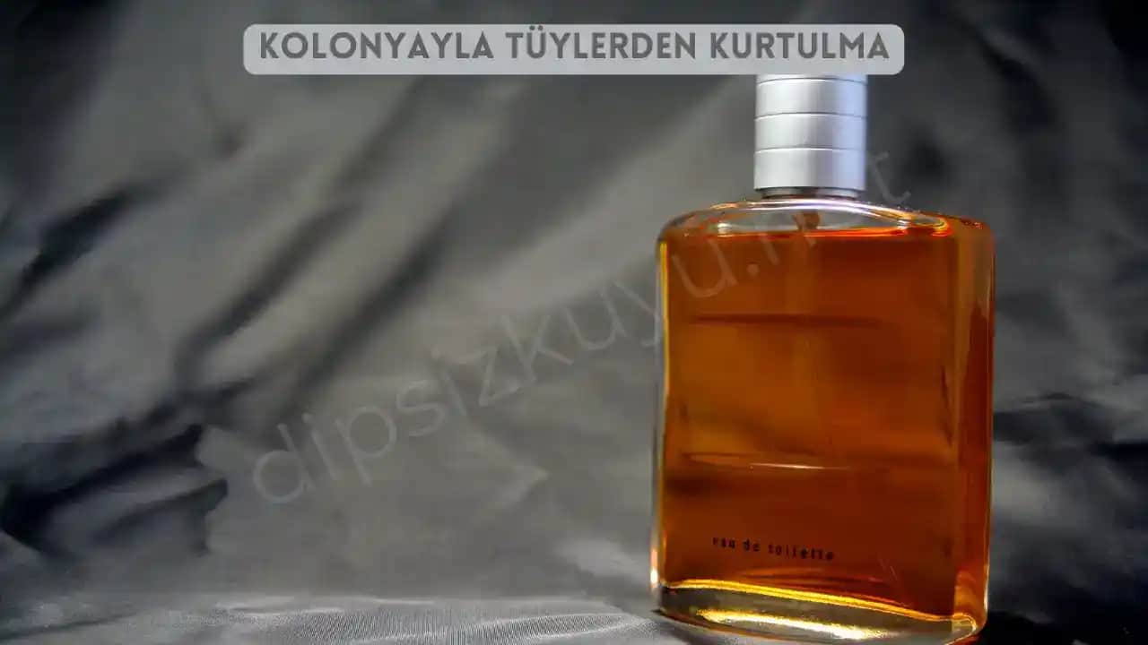 Kolonyayla Tüy Dökücü Etkiler ve Güvenli Doğal Alternatifler Rehberi