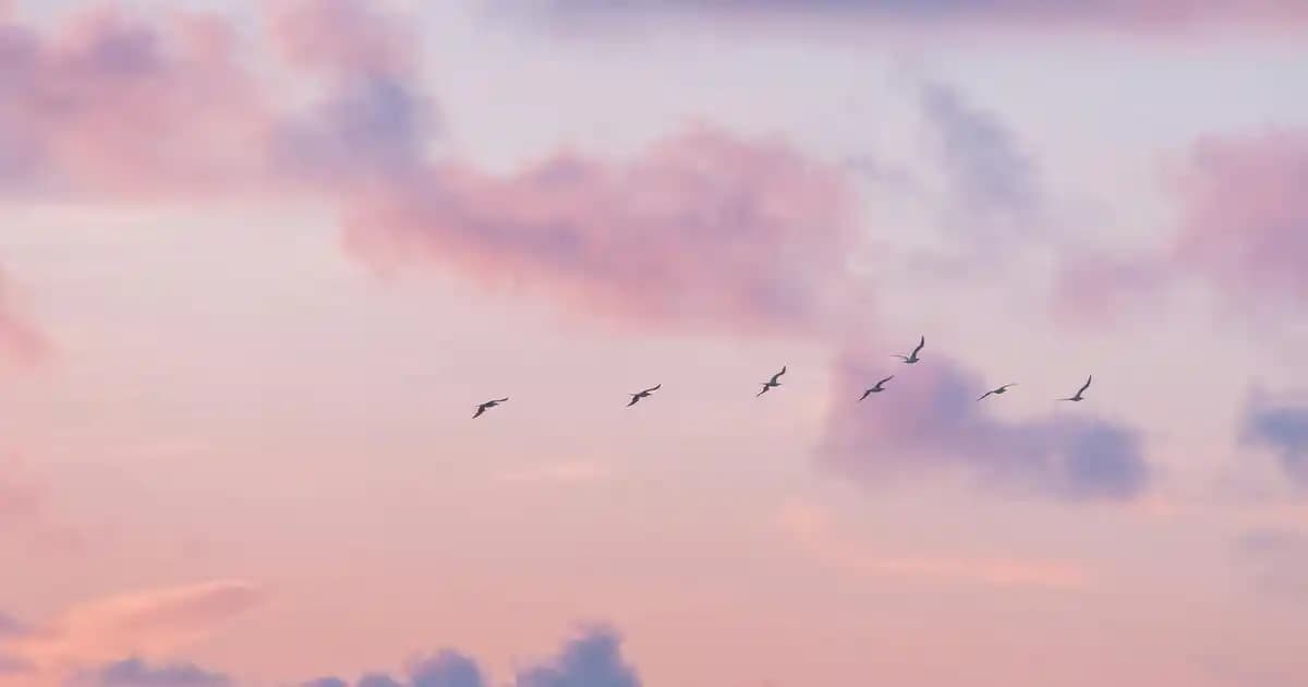 Kükürt Sabunu Kullanımı ve Faydaları: Doğru Uygulama ile Cilt Sağlığını Destekle