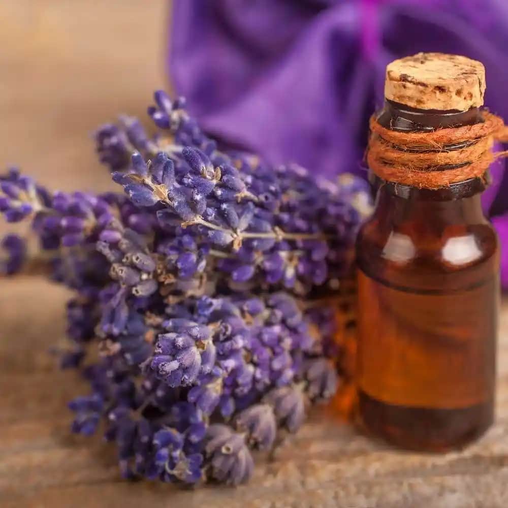 Lavanta Yağı: Doğal Güzellik ve Bakımda Kullanımın Temel Yöntemleri ve Faydaları