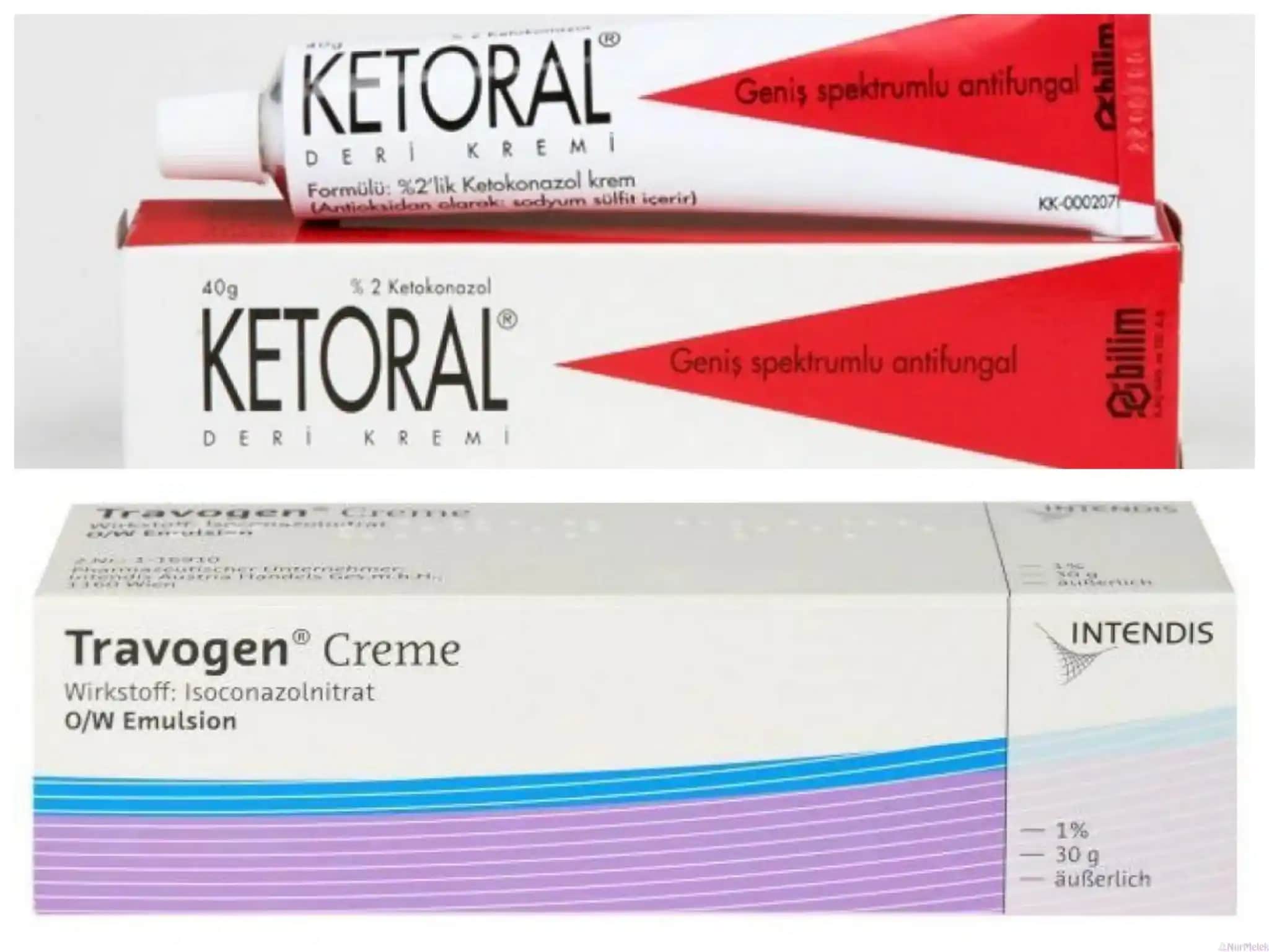 Mantar Kremleri Hakkında Kapsamlı Rehber: Türleri, Kullanımı ve Seçim İpuçları