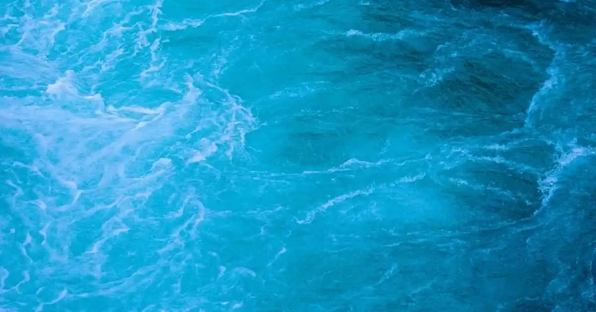 Omega 3 ve Kozmetik Dünyasında Sağlıklı Cilt İçin Yeni Yaklaşımlar