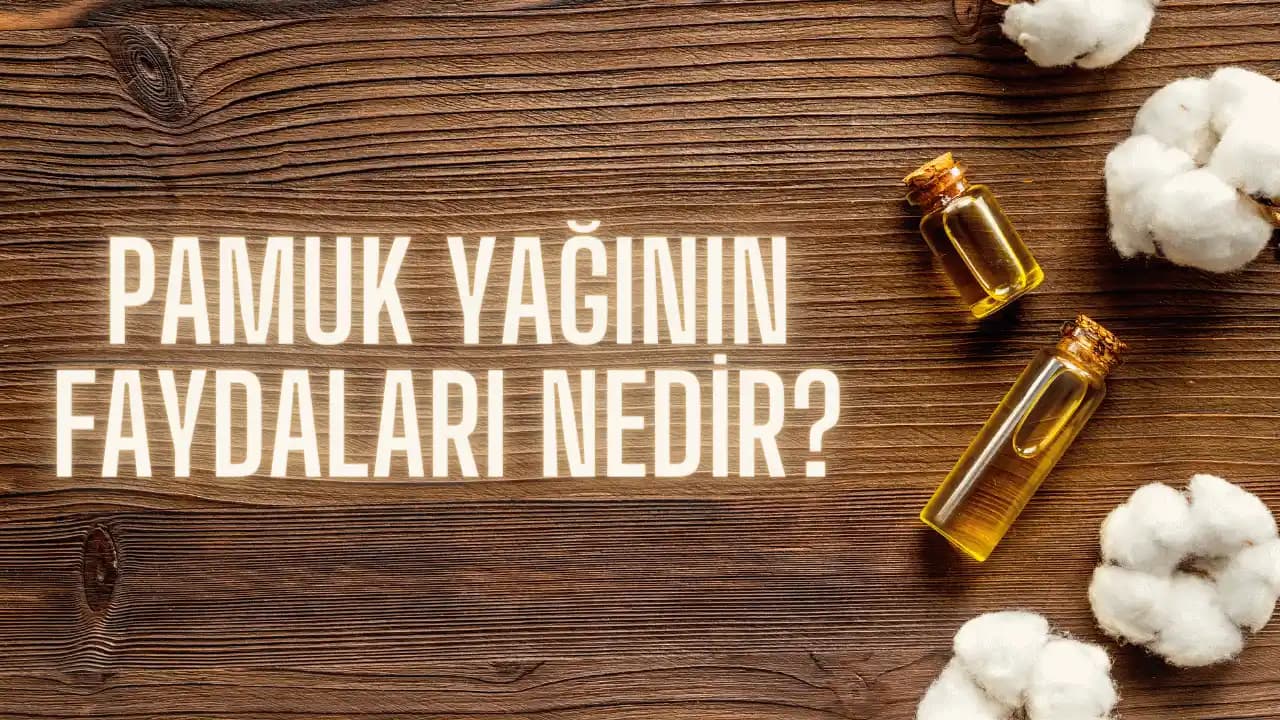 Pamuk Yağı ve Cilt Bakımındaki Faydaları: Doğal Güzellik İçin Güçlü Bir Seçenek