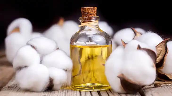Pamuk Yağı ve Kozmetikteki Gücü: Doğal Güzelliğin Anahtarı ve Cilt Sağlığı