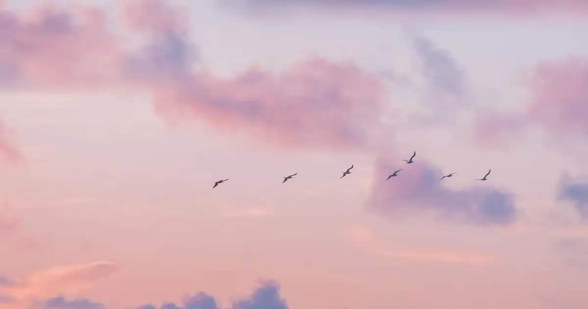 Peptaronik Serum Nedir? Cilt Sağlığı ve Güzelliği İçin Temel Özellikler ve Faydalar