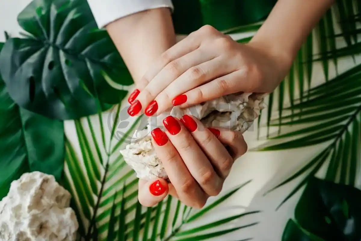 Protez Tırnak Ne Kadar Süre Dayanır ve Kalıcılığı Etkileyen Faktörler