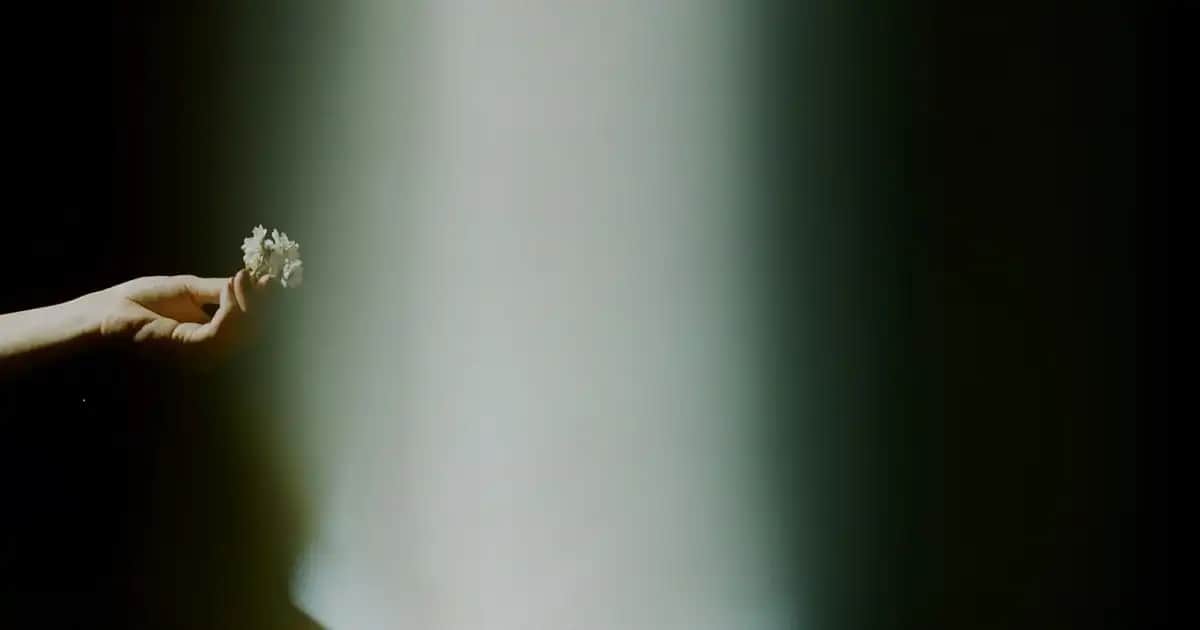 Rozalı ve hassas ciltler için Bioderma nemlendirici ve yatıştırıcı ürünler rehberi