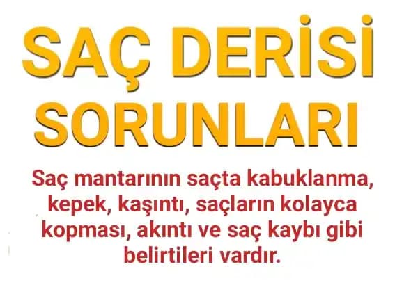 Saç Derisinde Beyaz Tortu Nedenleri ve Önleme Yöntemleri Hakkında Detaylı Bilgi