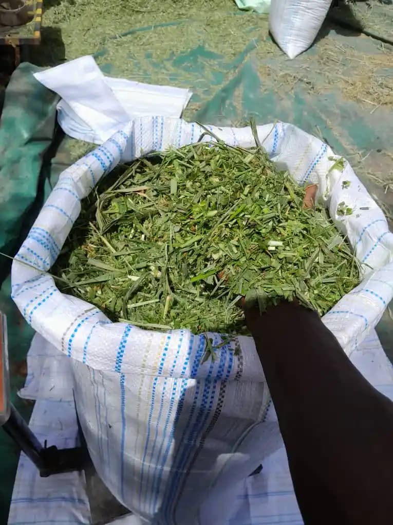 Saç Dibi Ağrısı Nedenleri ve Kozmetik Bakımda Dikkat Edilmesi Gerekenler