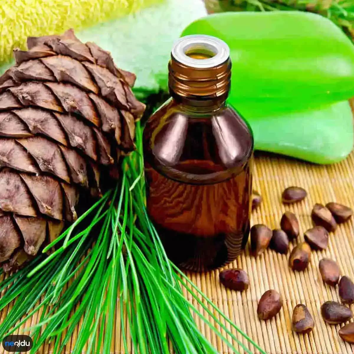 Saç Diplerine İyi Gelen Doğal Yağlar ve Saç Sağlığını Destekleyen Bakım Yöntemleri