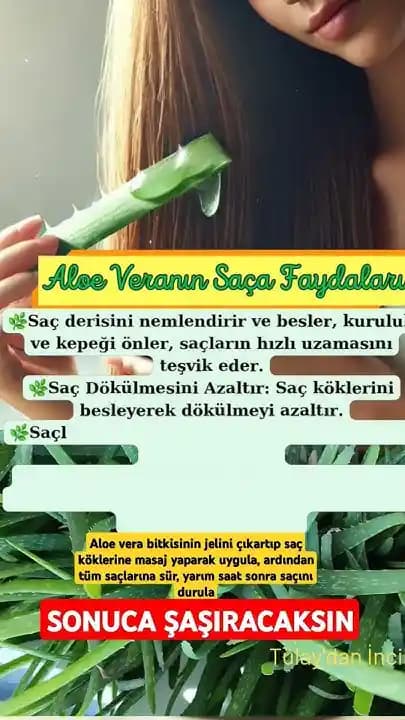 Saç Sağlığı İçin Aloe Vera Kullanımı ve Faydaları Hakkında Detaylı Bilgi