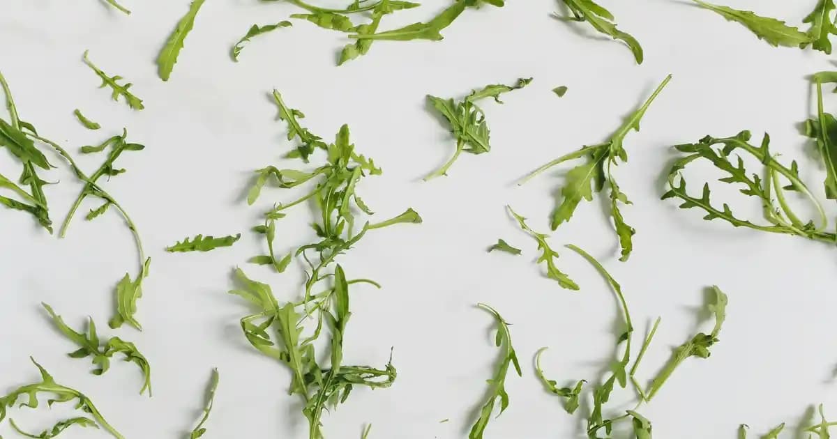 Saç Uzatan Şampuanlar ve Elidor Markasıyla Etkili Saç Bakımı Rehberi