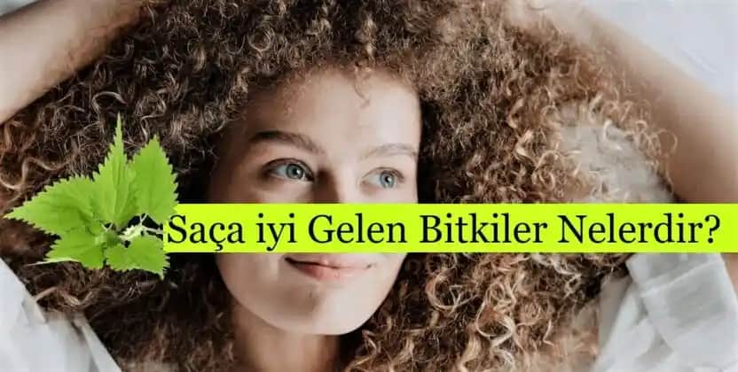 Saça İyi Gelen Bitkiler: Doğal Güzellik ve Sağlık İçin Güçlü Bitkisel Çözümler