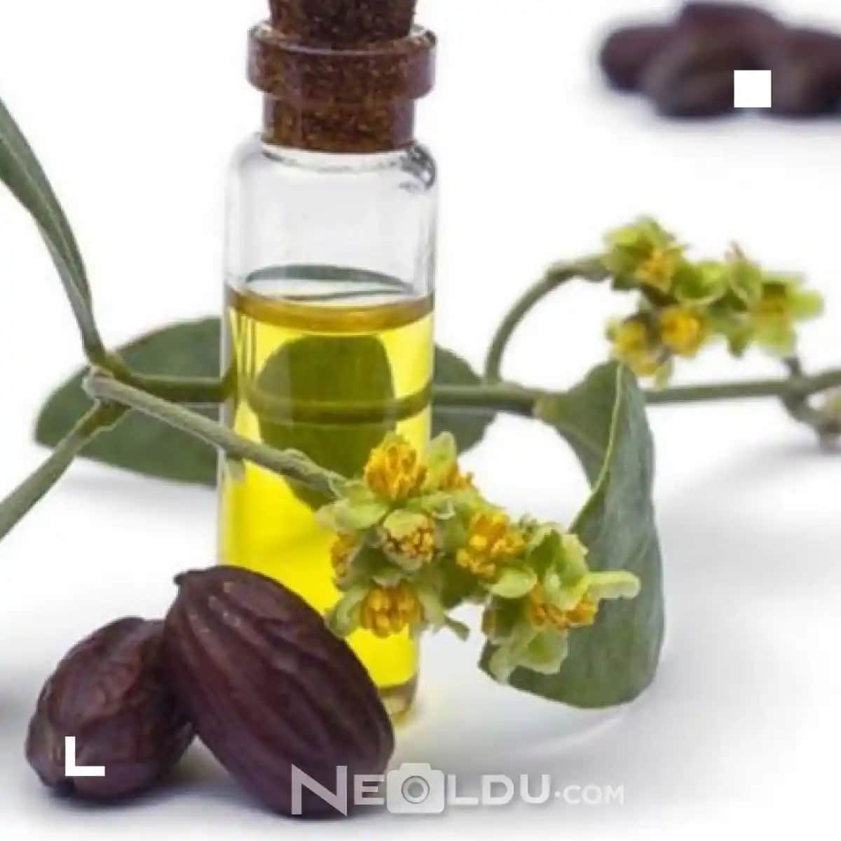 Saçı Güçlendiren Doğal Yağlar: Saç Sağlığını Destekleyen En Etkili Yöntemler