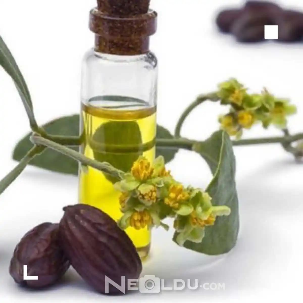 Saçı Güçlendiren Doğal Yağlar: Saç Sağlığını Destekleyen En Etkili Yöntemler