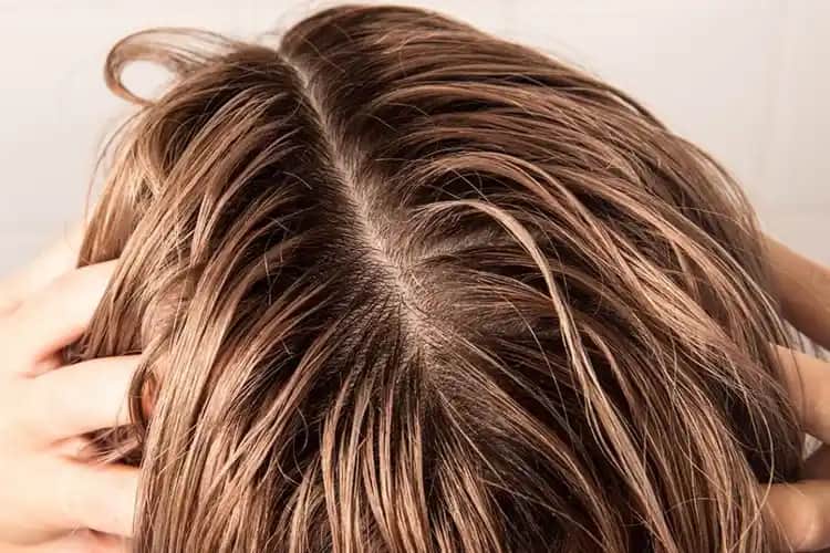 Saçın Doğal Yağıyla Beslenme ve Modern Bakım Yaklaşımları Hakkında Güncel Bilgiler