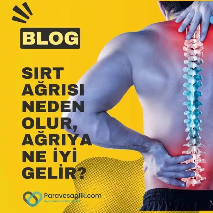 Sırt Yaralarının Nedenleri, Riskleri ve Korunma Yöntemleri Hakkında Kapsamlı Bilgi