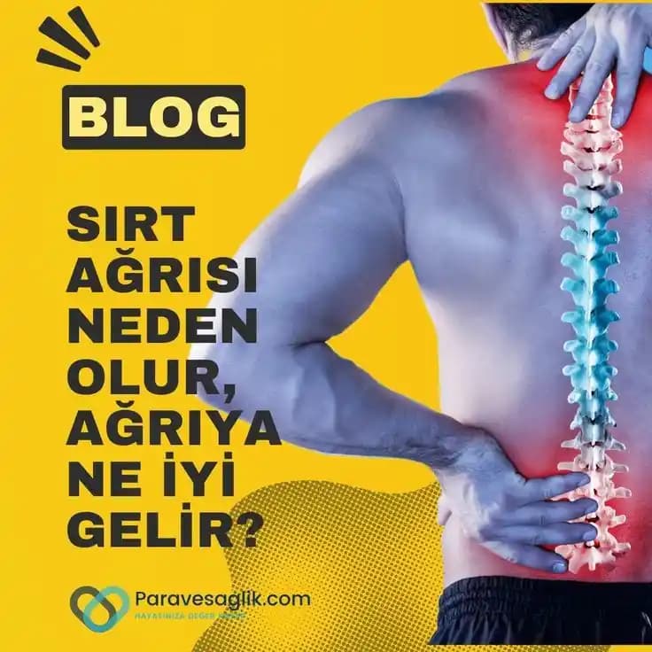 Sırt Yaralarının Nedenleri, Riskleri ve Korunma Yöntemleri Hakkında Kapsamlı Bilgi