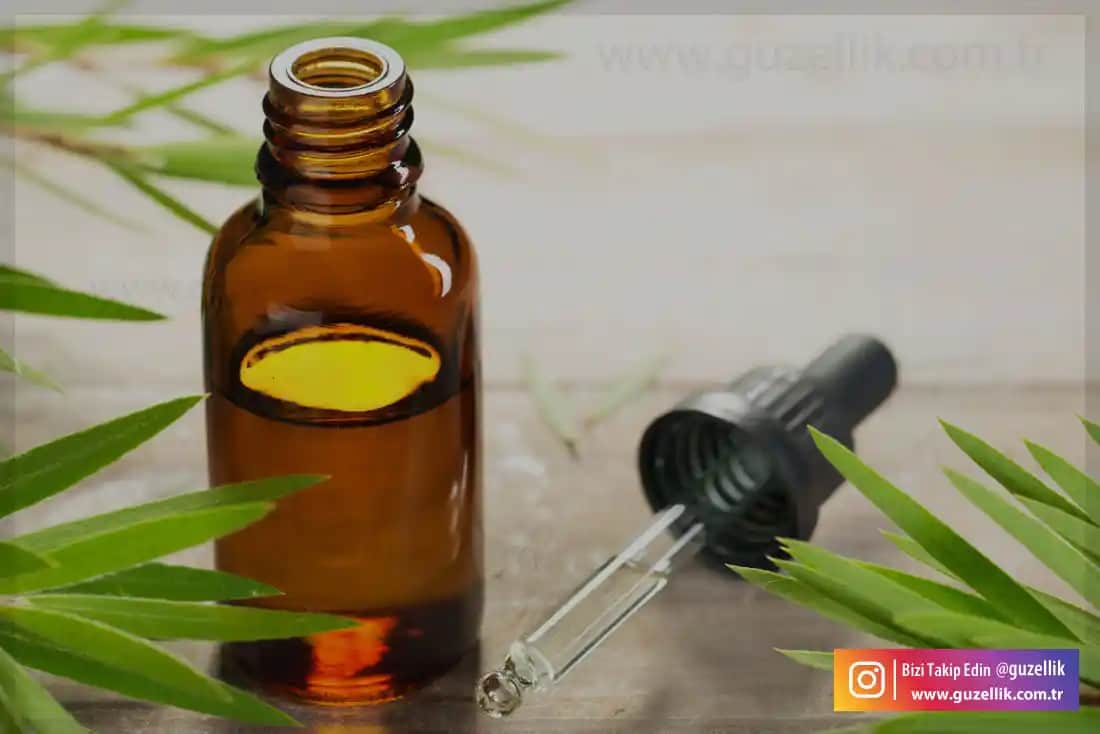 Sivilcelerle Mücadelede Çay Ağacı Yağının Etkili Kullanım Yöntemleri ve Faydaları