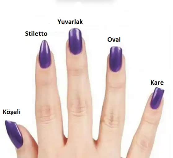 Tırnak Türleri ve Bakım Yöntemleri: Sağlıklı ve Estetik Tırnaklar İçin Rehber