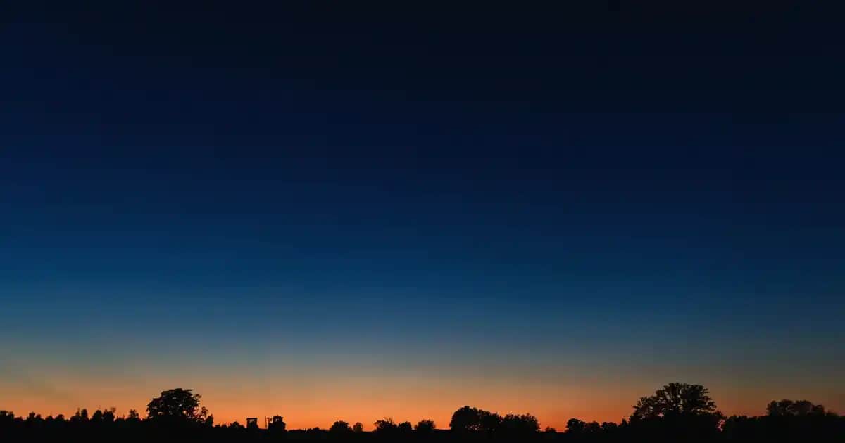 Ücretsiz ve Doğal Cilt Serumu Çözümleri ile Sağlıklı ve Parlak Cilt Bakımı