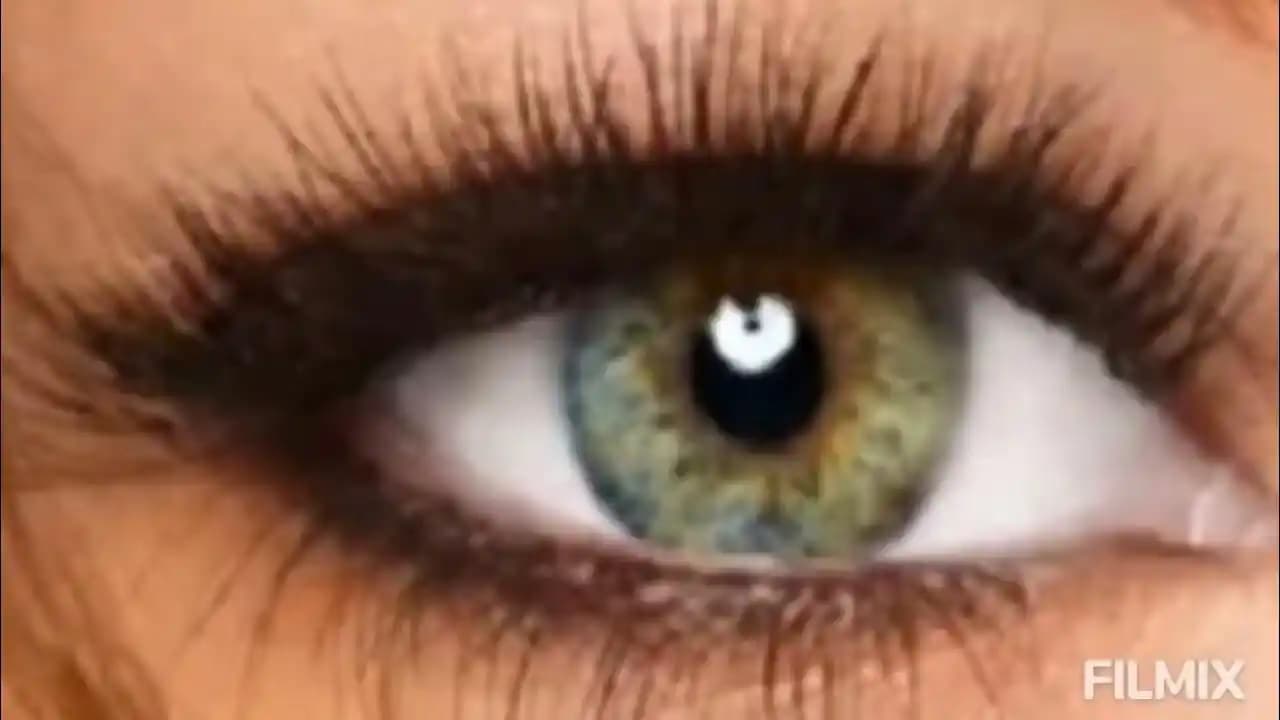 Uygun Fiyatlı ve Kaliteli Makyaj Deneyimi İçin Şok Marka Kozmetik Seçenekleri