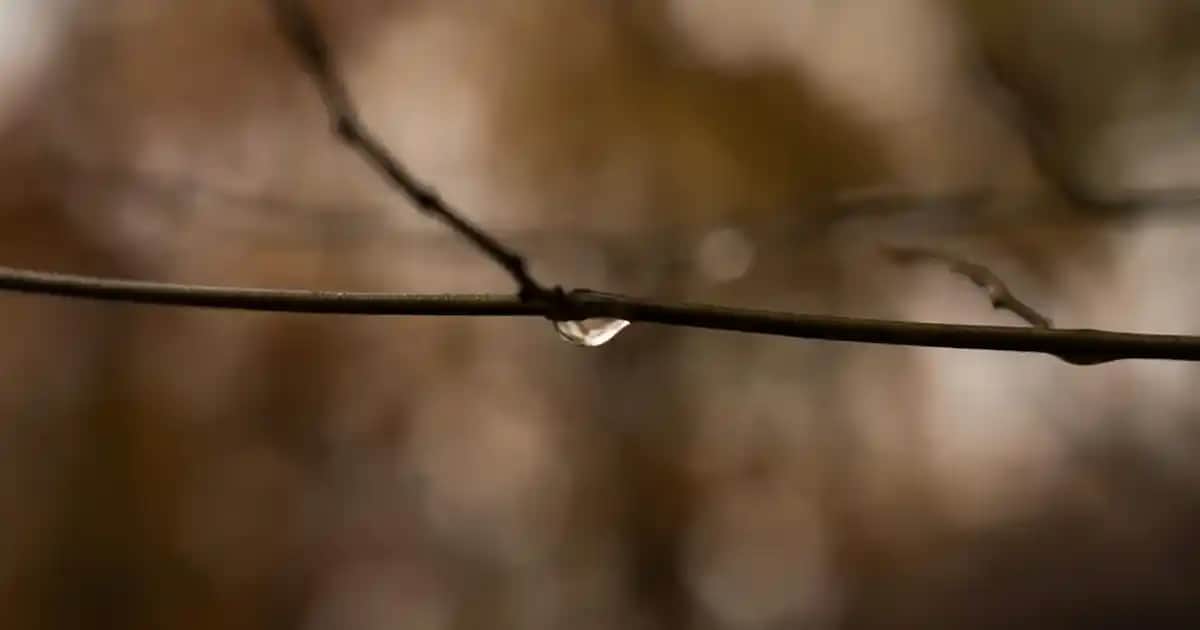 Vajina Beyazlatma Yöntemleri: Doğal ve Profesyonel Yaklaşımlar ve Güvenlik İpuçları