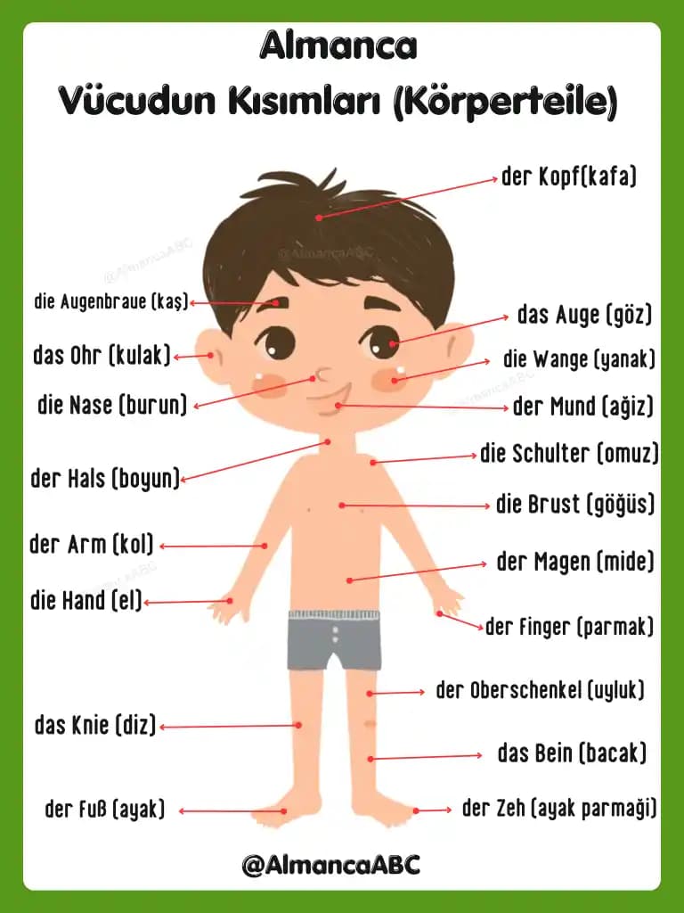 Vücut Kızarması Nedenleri ve Kozmetik Yaklaşımlar ile Etkili Çözüm Yöntemleri