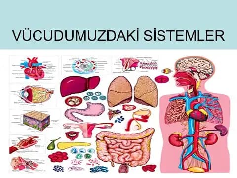 Vücutta Kabarmalar ve Kozmetik Çözüm Yöntemleri: Nedenleri ve Doğal Tedavi Seçenekleri