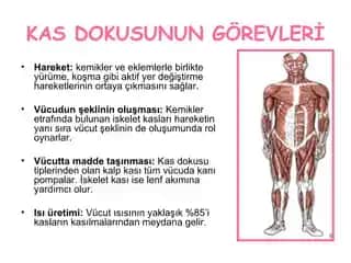 Vücutta Kesikler ve Kozmetik Bakımın Rolü: İyileşme Süreci ve İzlerin Azaltılması