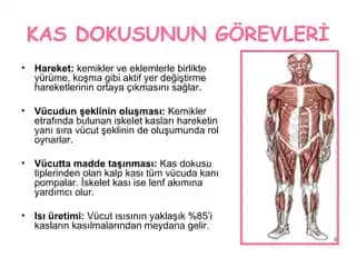 Vücutta Kesikler ve Kozmetik Bakımın Rolü: İyileşme Süreci ve İzlerin Azaltılması
