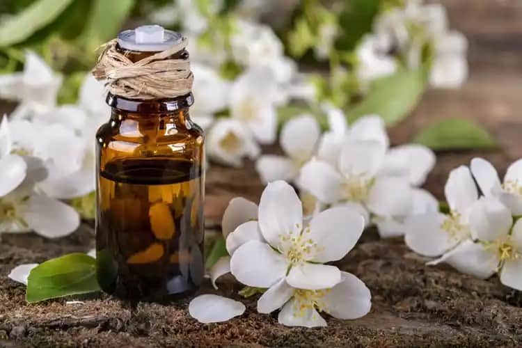 Yasemin Yağı: Doğal Güzellik ve Bakımda Kullanım Alanları ve Faydaları