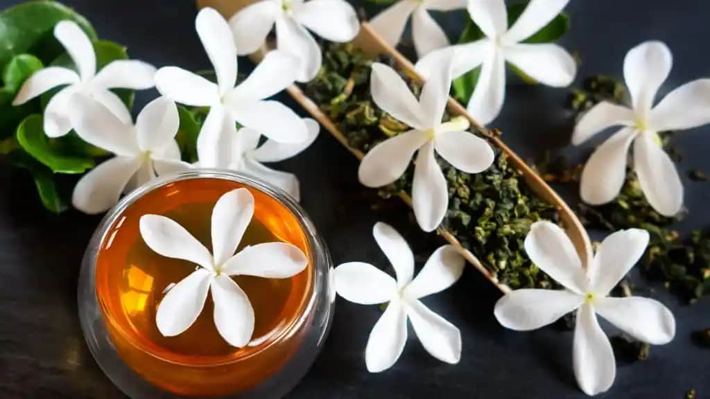 Yasemin Yağı ve Saça Faydaları: Doğal Güzellik İçin Güçlü Bir Bakım Seçeneği