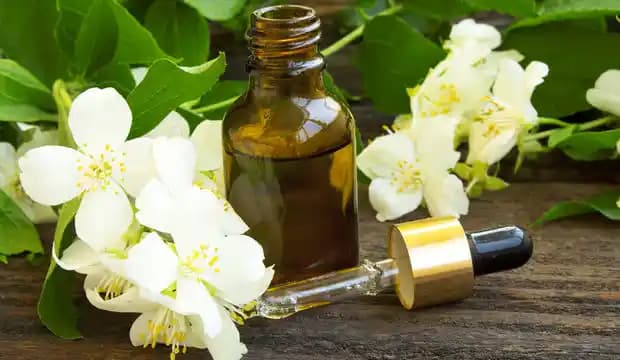 Yaseminli Parfüm: Doğanın Büyüleyici Kokusu ve En İyi Seçenekler