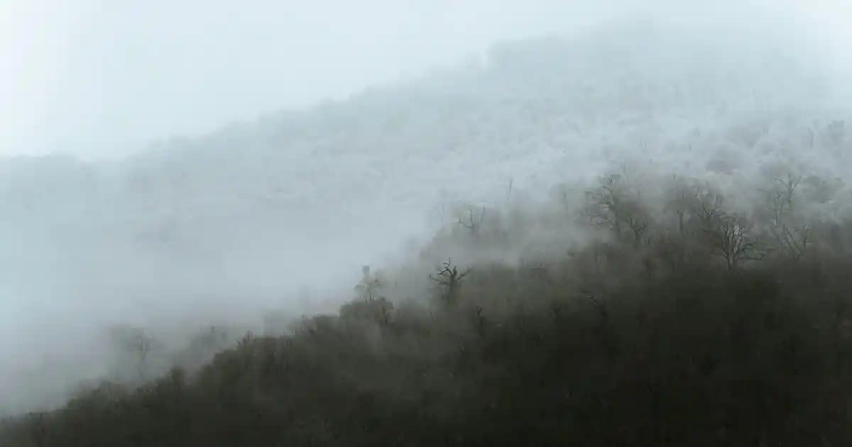 Yeşil Yağ Nasıl Yapılır? Doğal Güzellik İçin Evde Kolay Tarifler ve İpuçları
