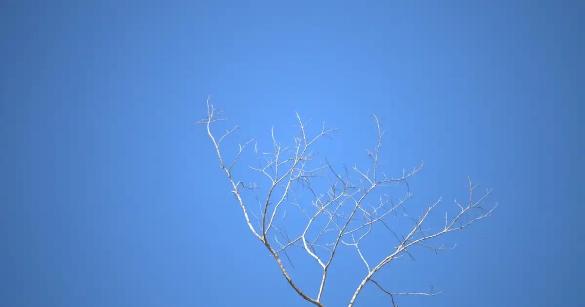 Yetişkinlerde Pişik ve Pudra Kullanımı: Doğru Uygulama ve Güvenli Yaklaşımlar