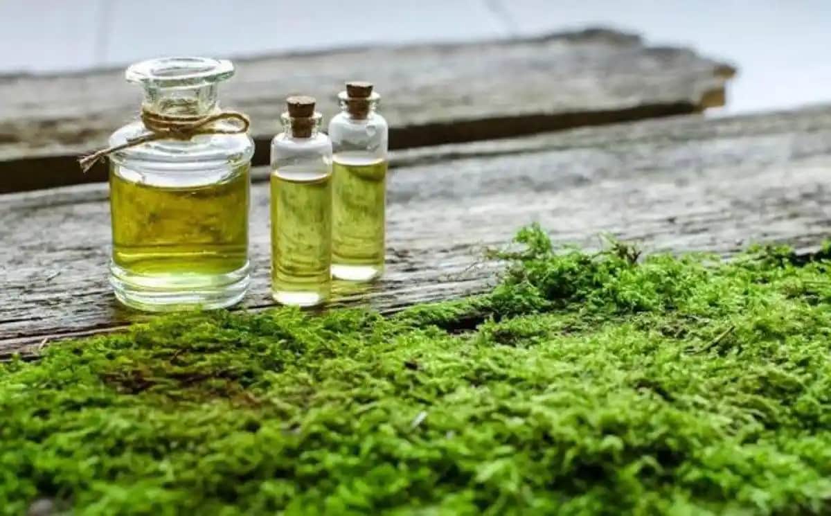 Yosun Yağı ve Kozmetikteki Faydaları: Doğal Güzellik İçin Güçlü Bir Kaynak