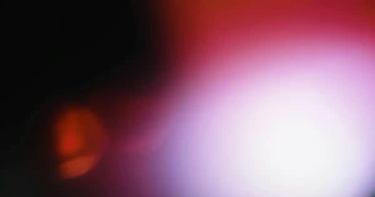 Yumurta Akı ile Cilt Bakımında Doğal ve Etkili Yöntemler Rehberi