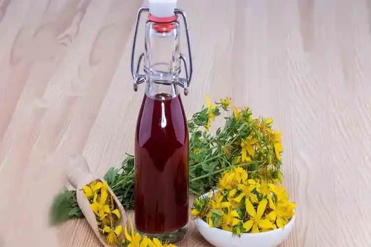 Yüze Kantaron Yağı Sürülür mü? Güvenlik ve Kullanım Rehberi