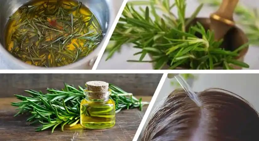 Biberiyenin Saç Çıkarma Etkisi ve Kozmetik Kullanımı: Mevcut Bilimsel Durumun Değerlendirilmesi