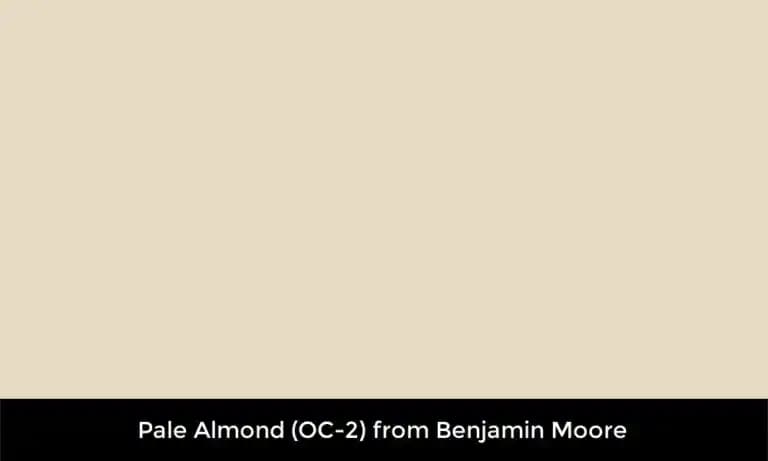 Pale Almond Rengi: Kozmetik ve Güzellikte Soluk Badem Tonunun Özellikleri ve Kullanımı
