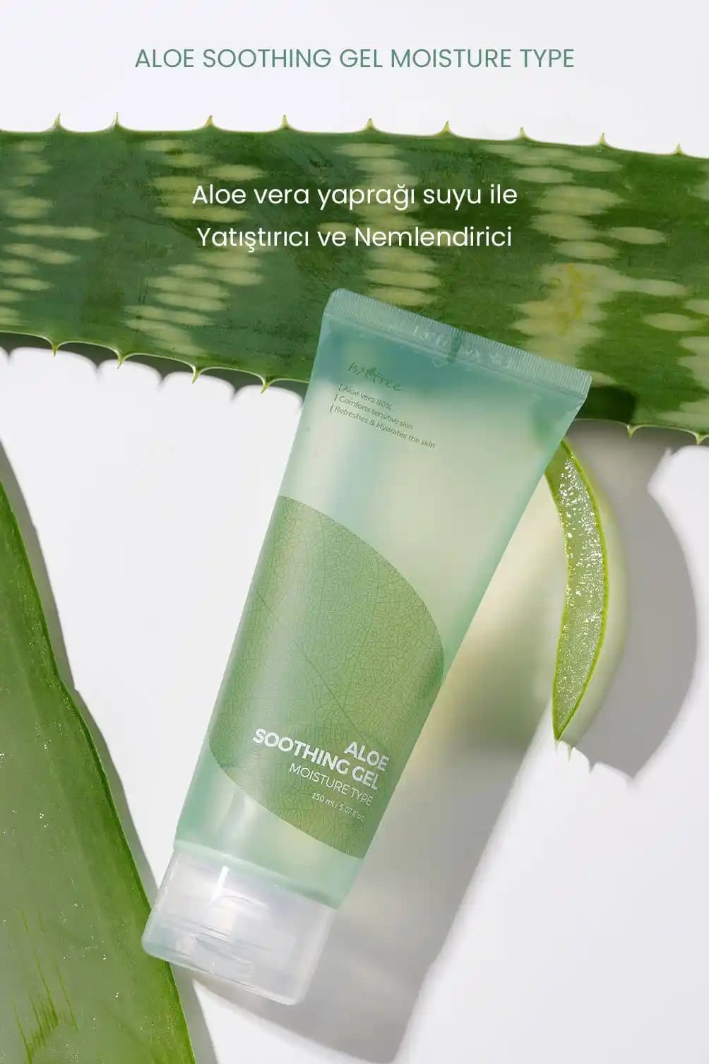 Aloe Vera Bakımı: Doğal Güzellik ve Sağlık İçin Kapsamlı Rehber