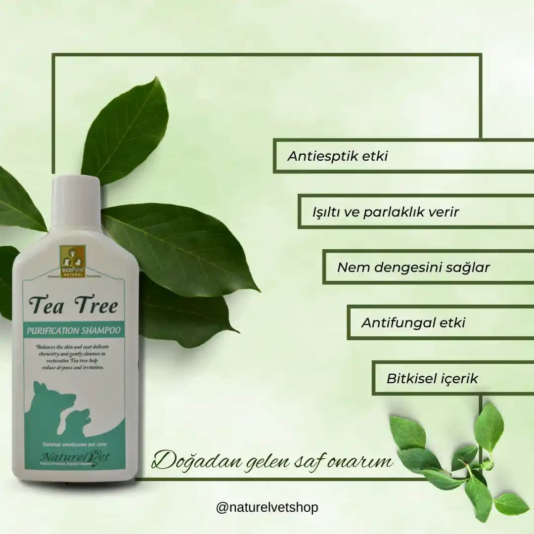 Antiseptik Şampuanların Saç ve Saç Derisi Sağlığındaki Rolü ve Kullanım Avantajları