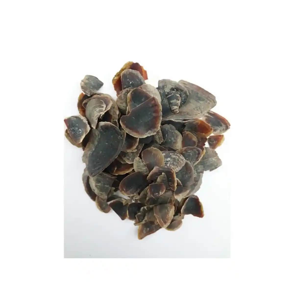 Ayakta Şeytan Tırnağı: Doğal Kozmetik ve Sağlık Alanında Güçlü Bir Bitki Tanıtımı