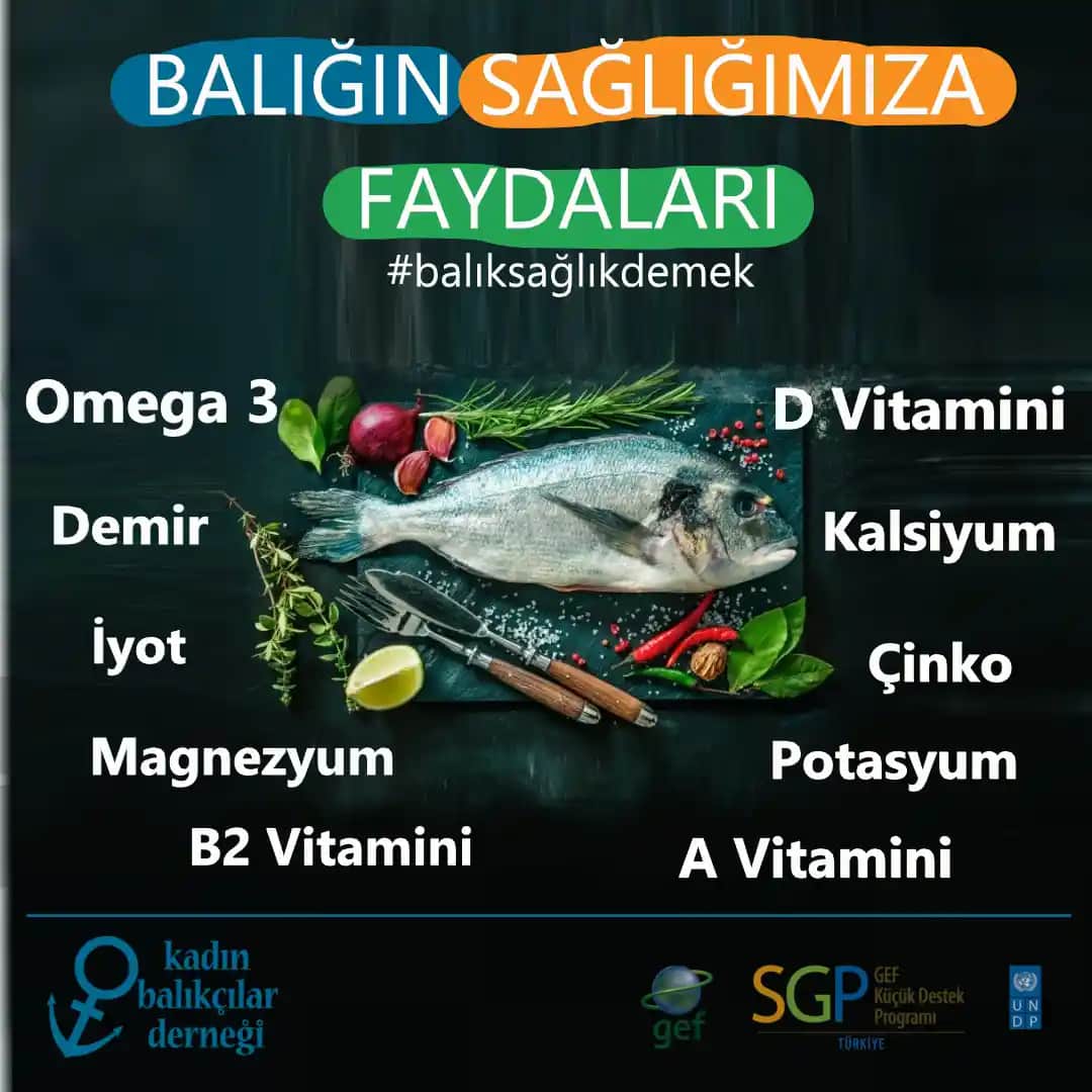 Balık Yağında D Vitamini Var mı? Kozmetik ve Sağlık Alanında Bilmeniz Gerekenler