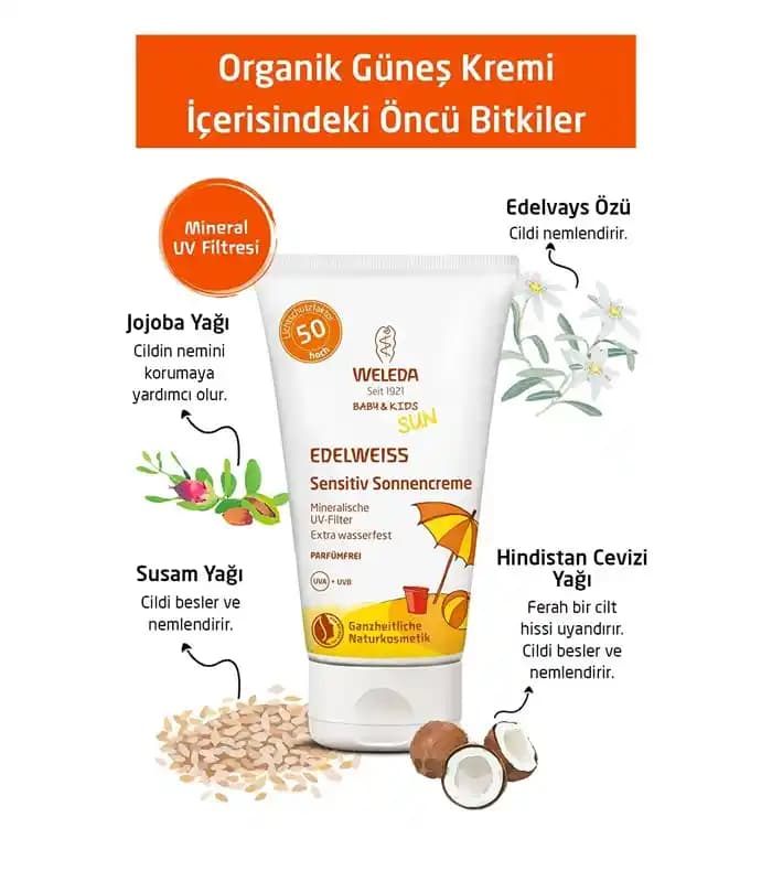 Bebekler İçin Güvenli Alerji Kremi Kullanımı ve Doğru Seçim Rehberi