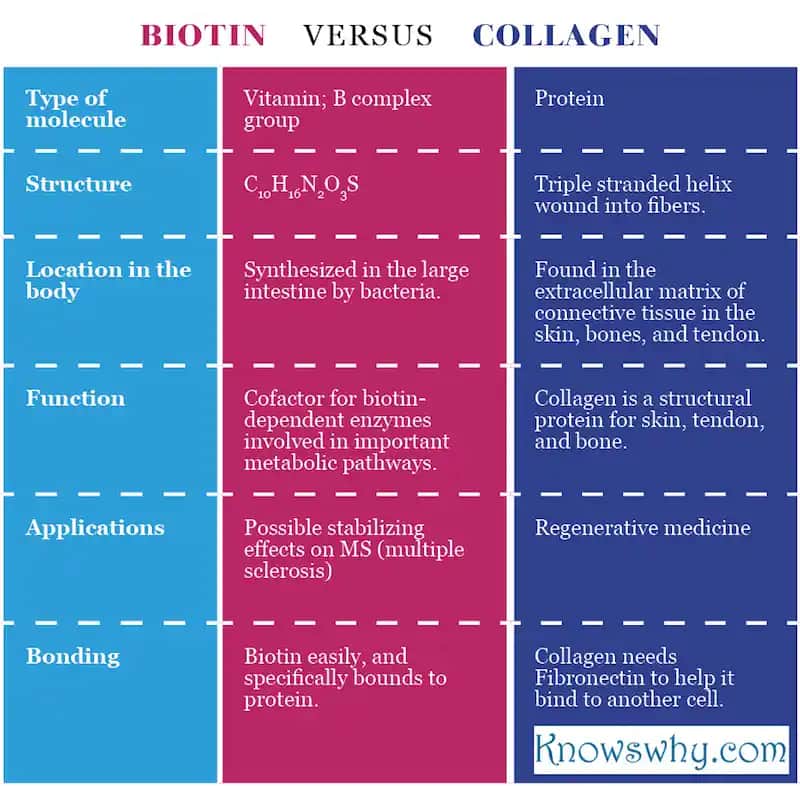 Biotin ve Kolajen: Cilt, Saç ve Tırnak Sağlığını Destekleyen Doğal Bileşenler