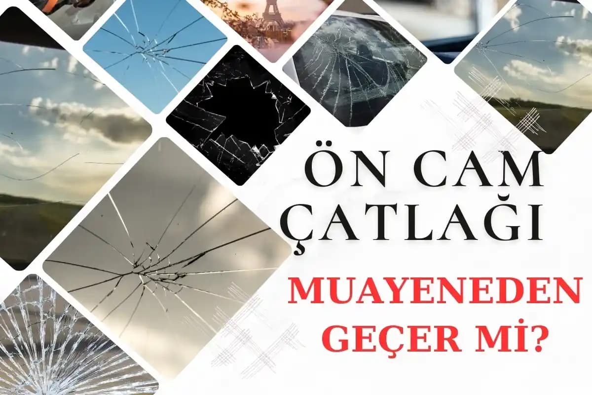 Çatlaklar Gerçekten Geçer mi? Etkili Bakım Yöntemleri ve Tedavi Seçenekleri