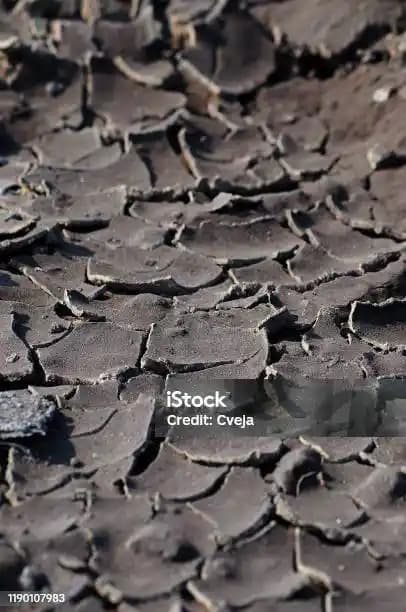 Ciltteki çatlakların nedenleri ve etkili tedavi yöntemleri hakkında kapsamlı bilgiler